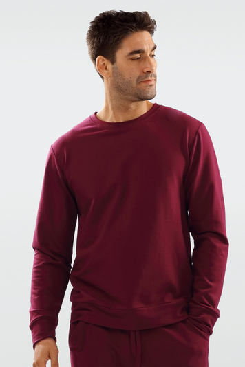 Dkaren classic casual men's long sleeved sweatshirt Justin , Maroon